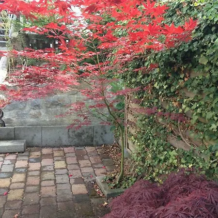 Apartamento Dolores Arnsberg