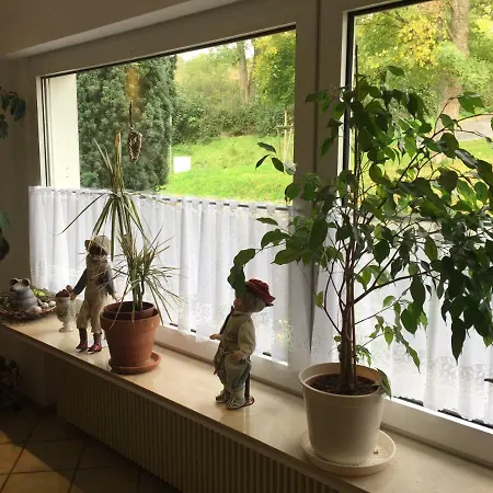 Apartamento Dolores *