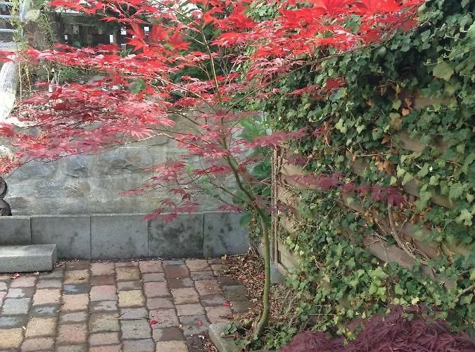 Appartement Dolores Arnsberg